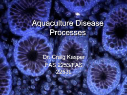 Aquaculture Disease Processes Dr. Craig Kasper FAS 2253/FAS 2253L Lecture 1: Introduction to Disease • • • • • • • • •  What is disease? Types of diseases Dynamics of infectious disease Epizootiology of infectious diseases What.
