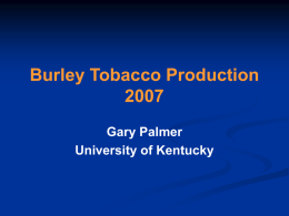 Burley Tobacco ProductionGary Palmer University of Kentucky Useable plant percentage of TN 90 burley tobacco seed on different brands of media Brand of.