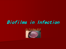 Biofilms in Infection Dr.T.V.Rao M D Beginning of Microbes   Bacteria first appeared on earth about 3.6 billion years ago, long before the appearance of Homo sapiens.
