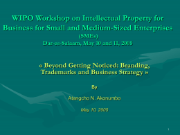 WIPO Workshop on Intellectual Property for Business for Small and Medium-Sized Enterprises (SMEs) Dar-es-Salaam, May 10 and 11, 2005  « Beyond Getting Noticed: Branding, Trademarks.