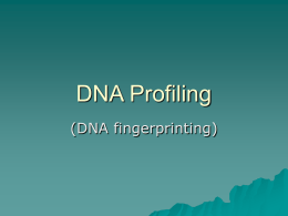 DNA Profiling (DNA fingerprinting) What is DNA Profiling?  A technique used by scientists to distinguish between individuals of the same species using only samples of.