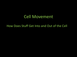 Cell Movement How Does Stuff Get Into and Out of the Cell.