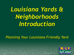 Louisiana Yards & Neighborhoods Introduction Planning Your Louisiana-Friendly Yard About the LY&N Program • The goal is to encourage homeowners to create and maintain landscapes.