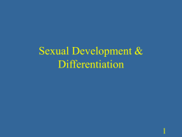 Sexual Development & Differentiation Sex & Gender Sex and Gender • Sex – genetic sex - chromosomes – anatomical sex - internal and external.