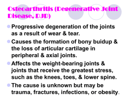 Osteoarthritis (Degenerative Joint Disease, DJD) Progressive degeneration of the joints as a result of wear & tear. Causes the formation of bony buidup & the.