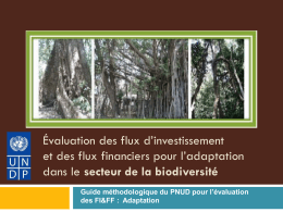 Évaluation des flux d’investissement et des flux financiers pour l’adaptation dans le secteur de la biodiversité Guide méthodologique du PNUD pour l’évaluation des FI&FF.