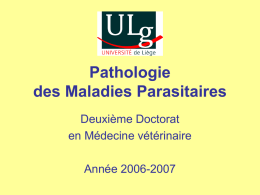 Pathologie des Maladies Parasitaires Deuxième Doctorat en Médecine vétérinaire Année 2006-2007 Les zoonoses parasitaires  2ème Doctorat – Les zoonoses parasitaires.