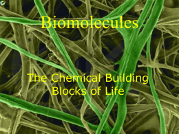 Biomolecules The Chemical Building Blocks of Life Condensation  It’s not just for the water cycle anymore • Macromolecules are constructed by covalently bonding monomers by condensation.