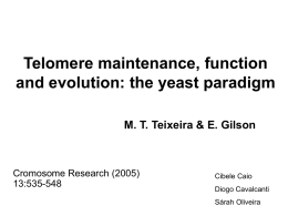 Telomere maintenance, function and evolution: the yeast paradigm M. T. Teixeira & E.
