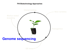 FHI Biotechnology Approaches  Clonal testing  New varieties  Marker-aided breeding  Transgenics  Genome sequencing GE trees Chestnut Genome Research Team John E.