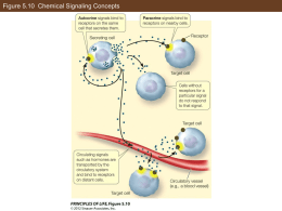 Figure 5.10 Chemical Signaling Concepts Figure 5.10 Chemical Signaling Concepts.
