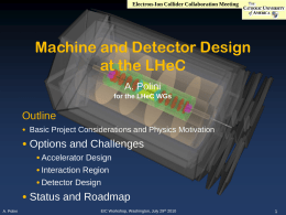 Electron-Ion Collider Collaboration Meeting  Machine and Detector Design at the LHeC A. Polini for the LHeC WGs  Outline • Basic Project Considerations and Physics Motivation  • Options.