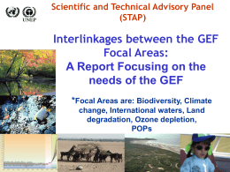 Scientific and Technical Advisory Panel (STAP)  Interlinkages between the GEF Focal Areas: A Report Focusing on the needs of the GEF *Focal Areas are: Biodiversity, Climate change,