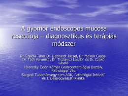 A gyomor endoscopos mucosa resectioja – diagnosztikus és terápiás módszer Dr. Szalóki Tibor Dr.