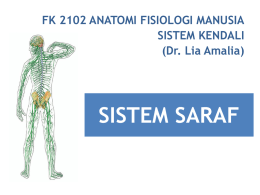 FK 2102 ANATOMI FISIOLOGI MANUSIA SISTEM KENDALI (Dr. Lia Amalia)  SISTEM SARAF Sistem saraf adalah pemula kegiatan otot tubuh & pengatur fungsi mental dan fisik Sistem saraf bekerja berdasarkan.