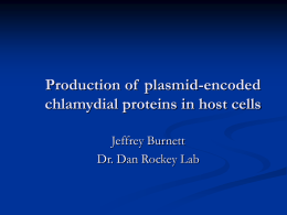 Production of plasmid-encoded chlamydial proteins in host cells Jeffrey Burnett Dr. Dan Rockey Lab.