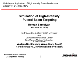 Workshop on Applications of High Intensity Proton Accelerators October 19 - 21, 2009, FNAL  Simulation of High-Intensity Pulsed Beam Targeting Roman Samulyak (October 20, 2009) AMS.