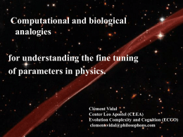 Computational and biological analogies for understanding the fine tuning of parameters in physics.  Clément Vidal Center Leo Apostel (CLEA) Evolution Complexity and Cognition (ECCO) clement.vidal@philosophons.com.