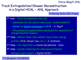 Steve Magill ANL  Track Extrapolation/Shower Reconstruction in a Digital HCAL – ANL Approach  E-flow alg.