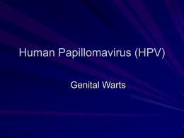Human Papillomavirus (HPV) Genital Warts Human Papillomavirus (commonly called Genital Warts) Human Papillomavirus (HPV) is a virus that can cause various disease states including “genital”