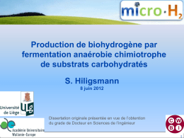 Production de biohydrogène par fermentation anaérobie chimiotrophe de substrats carbohydratés  S. Hiligsmann 8 juin 2012  Dissertation originale présentée en vue de l’obtention du grade de Docteur.