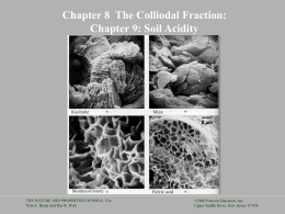 Chapter 8 The Colliodal Fraction: Chapter 9: Soil Acidity  Kaolinite  Mica  Montmorillonite  Fulvic acid  THE NATURE AND PROPERTIES OF SOILS, 13/e Nyle C.