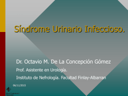 Síndrome Urinario Infeccioso.  Dr. Octavio M. De La Concepción Gómez Prof. Asistente en Urología. Instituto de Nefrología.