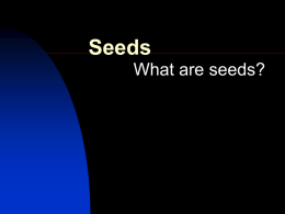 Seeds What are seeds? Basic Parts of Seeds 1. Embryo  2. Food Supply  3.