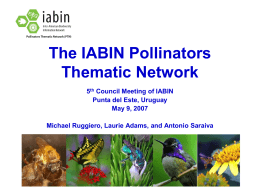 The IABIN Pollinators Thematic Network 5th Council Meeting of IABIN Punta del Este, Uruguay May 9, 2007 Michael Ruggiero, Laurie Adams, and Antonio Saraiva.