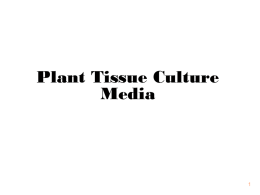 Plant Tissue Culture Media Logical Basis For healthy and vigorous growth, intact plants need to take up from soil of an essential elements. Essential.