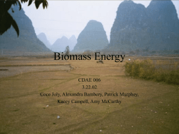 Biomass Energy CDAE 006 3.22.02 Coco Joly, Alexandra Bambery, Patrick Murphey, Kacey Campell, Amy McCarthy.