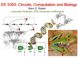 EE 5393: Circuits, Computation and Biology Marc D. Riedel Associate Professor, ECE University of Minnesota  x1  x2  AND  x3  OR  f1  AND  f2  f3