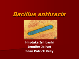 Bacillus anthracis  Hirotaka Ishibashi Jennifer Jolivet Sean Patrick Kelly Bacillus anthracis   Gram + rod    Facultative anaerobe    1 - 1.2µm in width x 3 - 5µm in length    Belongs.