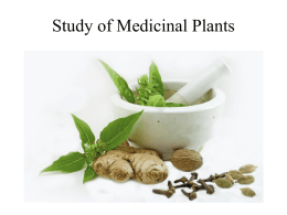 Study of Medicinal Plants Urgent need to study medicinal plants 1.