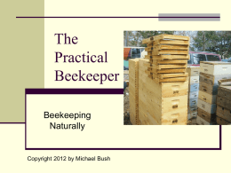 The Practical Beekeeper Beekeeping Naturally  Copyright 2012 by Michael Bush Presentations online Before you take copious notes, all these presentations are online here: http://www.bushfarms.com/beespresentations.htm 
