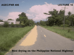 AGEC/FNR 406  LECTURE 10  Rice drying on the Philippine National Highway Benefit-Cost Measures Lecture Goals: 1.