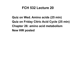 FCH 532 Lecture 20 Quiz on Wed. Amino acids (25 min) Quiz on Friday Citric Acid Cycle (25 min) Chapter 26: amino acid.