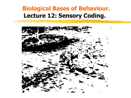 Biological Bases of Behaviour. Lecture 12: Sensory Coding. Learning Outcomes.  By the end of this lecture you should be able to:  