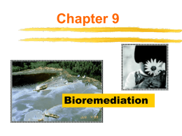 Chapter 9  Bioremediation Biotechnology and the Environment Environment – describes everything that surrounds a particular organism • Other organisms • Soil, air, water • Temperature, humidity, radiation.