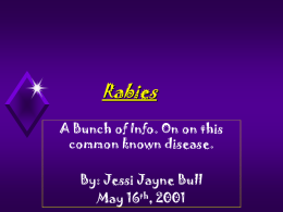 Rabies A Bunch of Info. On on this common known disease. By: Jessi Jayne Bull May 16th, 2001