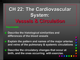 CH 22: The Cardiovascular System: Vessels & Circulation Keyconcepts:   Describe the histological similarities and differences of the blood vessels    Explain the pattern and names of the.