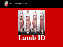 Lamb ID Lamb ID  Breast Leg Loin Rib Shoulder Variety Lamb ID  Breast Breast | Breast (1 of 2)