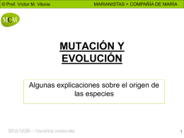 © Prof. Víctor M. Vitoria  MARIANISTAS + COMPAÑÍA DE MARÍA  MUTACIÓN Y EVOLUCIÓN Algunas explicaciones sobre el origen de las especies  BIOLOGÍA – Genética molecular.