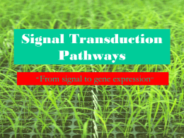 Signal Transduction Pathways “From  signal to gene expression” Signal Transduction Pathways The biochemical events that conduct the signal of a hormone or growth factor from.