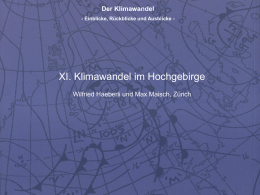 Der Klimawandel - Einblicke, Rückblicke und Ausblicke -  XI. Klimawandel im Hochgebirge Wilfried Haeberli und Max Maisch, Zürich.