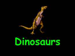 Dinosaurs When did Dinosaurs Live? The first dinosaurs lived about 230 million years ago! Dinosaurs were on the earth for about 165 million years! The.