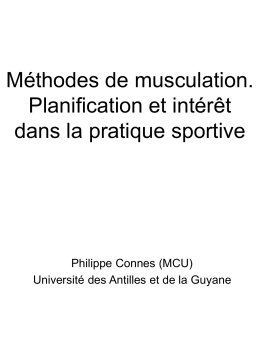 Méthodes de musculation. Planification et intérêt dans la pratique sportive  Philippe Connes (MCU) Université des Antilles et de la Guyane.