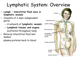 Lymphatic System: Overview • Lymph – interstitial fluid once in lymphatic vessels • Consists of 2 semi-independent parts: – A network of lymphatic vessels – Lymphoid.