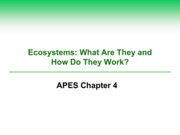 Ecosystems: What Are They and How Do They Work? APES Chapter 4
