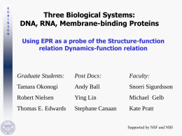 R O B I N S O N  Three Biological Systems: DNA, RNA, Membrane-binding Proteins Using EPR as a probe of the Structure-function relation Dynamics-function relation  Graduate Students:  Post Docs:  Faculty:  Tamara Okonogi  Andy Ball  Snorri Sigurdsson  Robert.